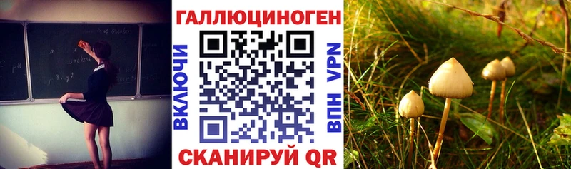 Псилоцибиновые грибы мицелий наркотики Чекалин